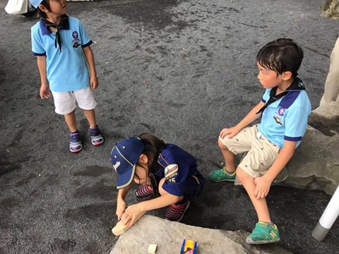 カブスカウト隊 組集会